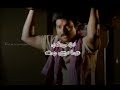 Pachamala Poovu Song Tamil WhatsApp Status Ilayaraja Hits