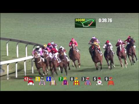 Perpetual Joyance - Karis Teetan (8 March)