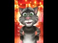 Il gato matto 