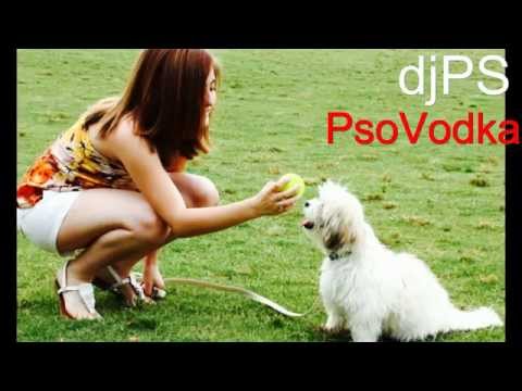 HomeStudioPS - djPS - PsoVodka -EXPERIMENT 2-