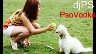 djPS - PsoVodka -EXPERIMENT 2-