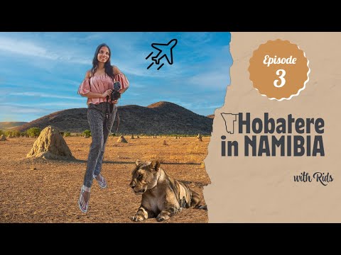 Desert lions spotted in Namibia | Namibia Travel Vlog EP-3 | Hobatere Little Etosha Safari Itinerary