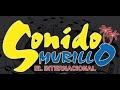EL OCASO DE UNA FLOR - LISANDRO MEZA
