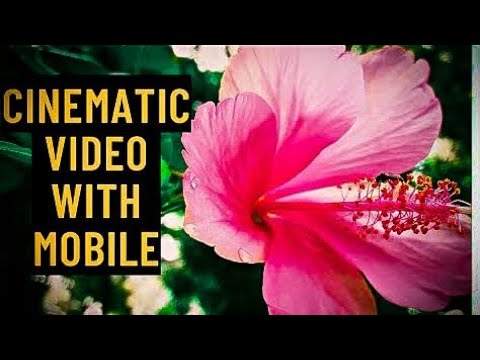 Cinematic video with mobile | nature video Part 1