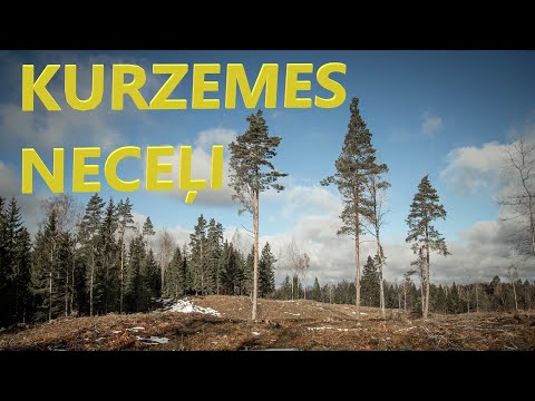 PĀRGĀJIENS: NEKURZEME KURZEMĒ 1. SĒRIJA. ORIENTĒŠANĀS NAKTĪ. / STREELNIEKS.LV /