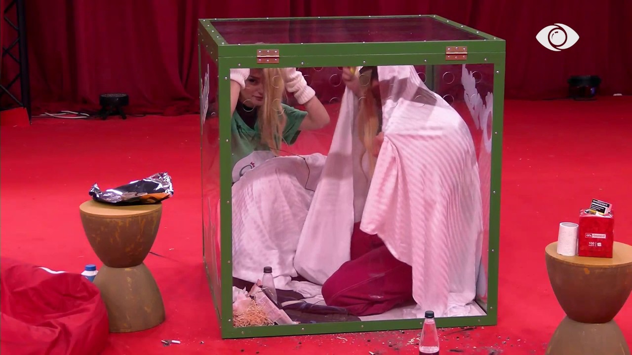 Selin dhe Shëndriti vendosin paruke dhe bëjnë si pula teksa qëndrojnë brenda kutisë