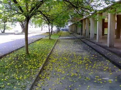 Me Nagaraya