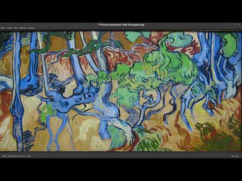 Кса и Ван Гог