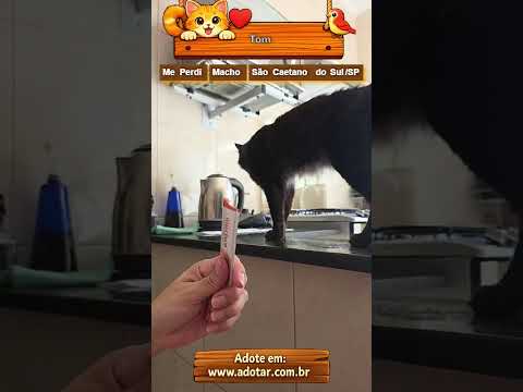 Vídeo de Tom