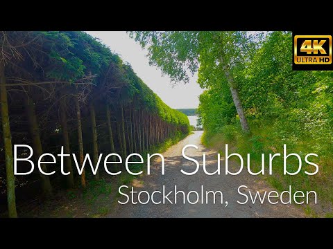 Stockholm Summer Walk: Skarpnäck to Älta. Experience Nature in the Suburbs #sweden #asmr #4k