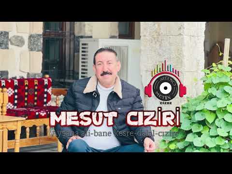 MESUT CIZİRİ - AYŞANA ALİ & BANE KESRE & DALAL & CIZİRE 2024 NEW