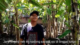 Download lagu Story wa jawa lucu kekinian mp3
