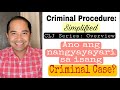 CRIMINAL CASE: ITS STAGES AND PROCEDURE