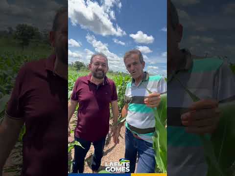 Deputado Estadual Laerte Gomes visita produtor na cidade de Alvorada D'Oeste Rondônia