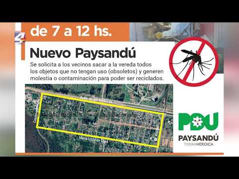 Nuevo Paysandú: Este martes 3 de febrero, habrá jornada de descacharre.