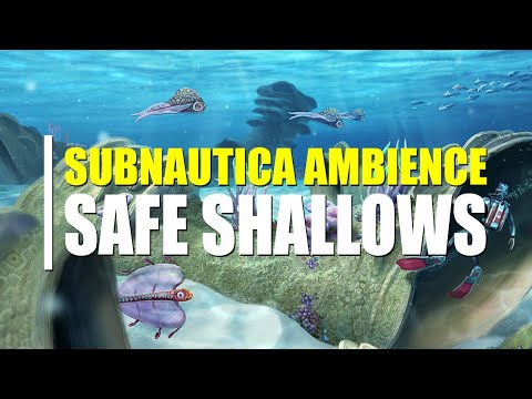 Safe Shallows | 8 Hours | Subnautica Ambience (No Music)