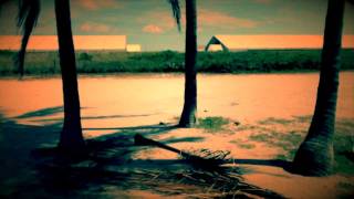 WALE- MIAMI NIGHTS (OFFICIAL VIDEO)