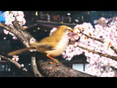 Nintendo E3 2011 Press Conference (с русскими субтитрами). Part 4.