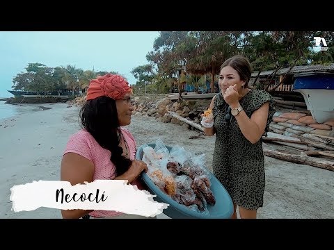 Taste of My Land, Necoclí - Teleantioquia