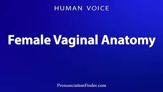 Download lagu How To Pronounce Female Vaginal Anatomy mp3