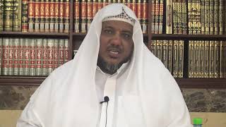 شرح مرتقى الوصول إلى الضروري من الأصول (مكتمل) image