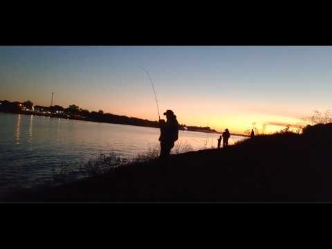 Episodio 13 de locos por la pesca.