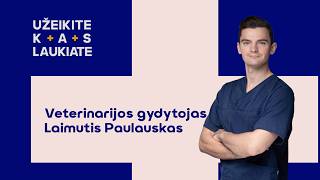 Užeikite kas laukiate pas veterinarijos gydytoją Laimutį Paulauską