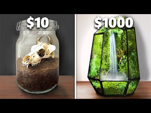$10 vs $1.000 Ecossistema de Terrário!
