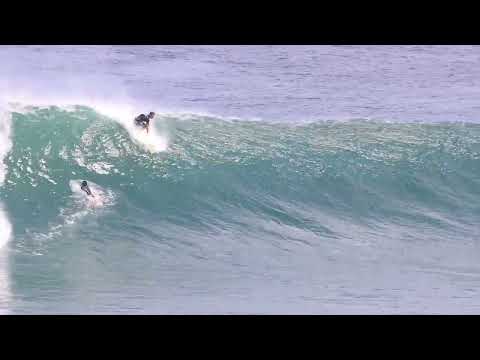 Joel Fitz and OZZIE Surfing the Zi Twin