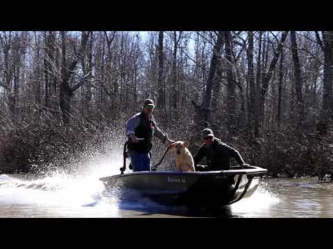 Archive 20 Video thumbnail