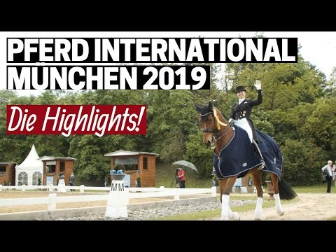 Pferd International 2019 ✨ | Shoppingtour, Para-Dressur, Volti | DIE Highlights