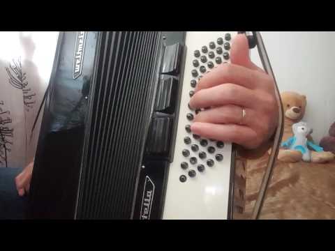 Lectia de acordeon , gama do major la basi