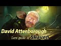 Skaven: Warhammer Lore with David Attenborough
