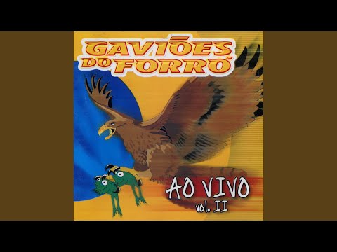 Festas Que Eu Gosto (Ao Vivo)