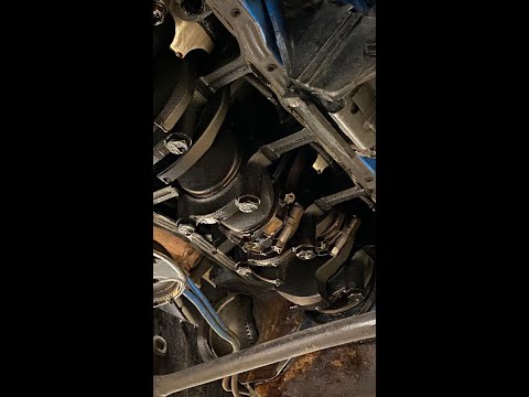 Rear Main Seal