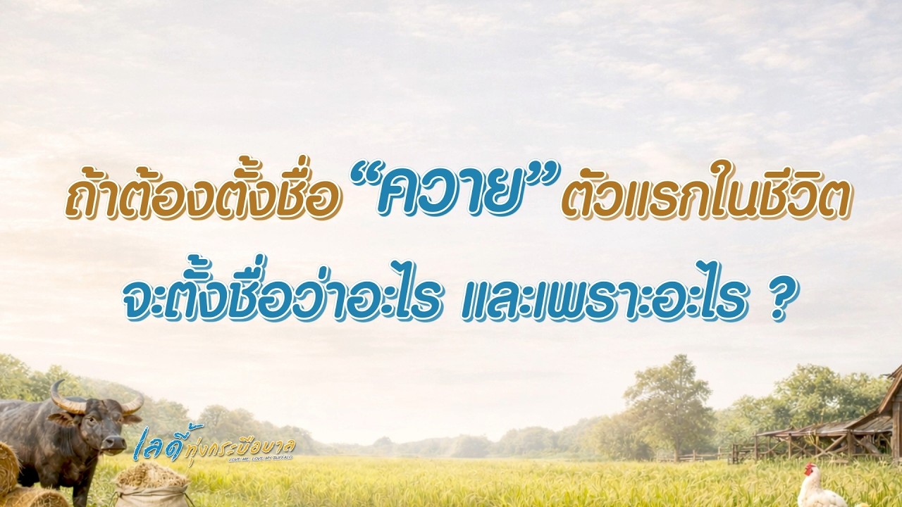 ถ้าต้องตั้งชื่อ “ควาย” ตัวแรกในชีวิต จะตั้งชื่อว?