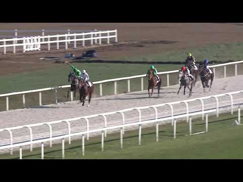 2020.11.22. 02. futam - CHANTILLY HENDIKEP (IV.o.) (szintetikus pálya)