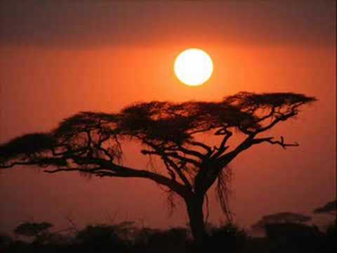 Free for all: By Nick Nolan - ANTM Song