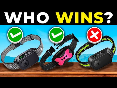 TOP 5 BEST BARK COLLARS for DOGS 2025 | Affordable Bark Collars on AMAZON