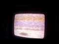 Opening To Pinocchio 1940 VHS