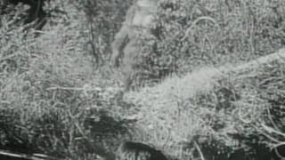 B-Movies - Just Like the B-Movies