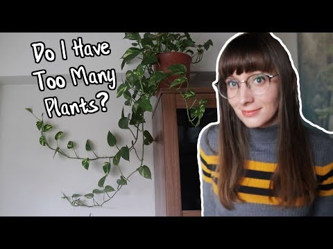 Tokyo Apartment Updates!