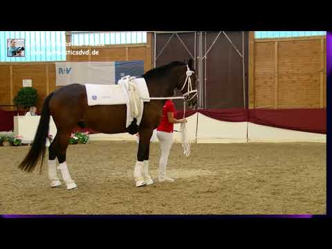 Lea Maurer (HES) - Einzel EV-M 01 - 5-LVWK Alsfeld 2019