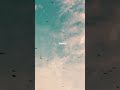 Jud Gayi Jud Gayi Tujhse Yeh Meri Zindagi WhatsApp Status