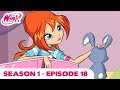 Winx Club - Season 1 Episode 18 - The Font of the Dragon Fire - [FULL EPISODE]