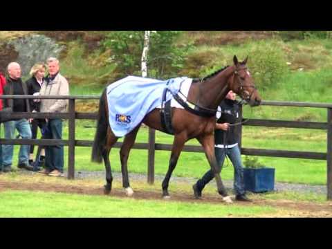 Premiär Göteborgs Galopp