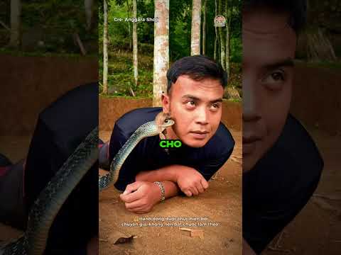 Chuyện tình chàng trai và em lớp trưởng #shorts
