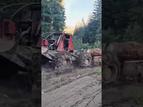 Ai văzut vreodată un utilaj atât de puternic în plină acțiune? 💪🚜🔥 #utilaj #putere #echipament#belis