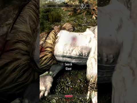 Skyrim glitch