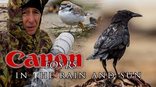 Canon R5 Lagoon Hahn and Sepulveda